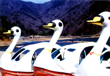 �킽�������́c