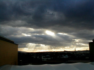 ���������֍s����������