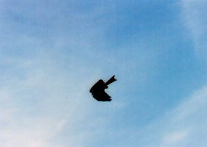 �Ƃ�тɂȂ��